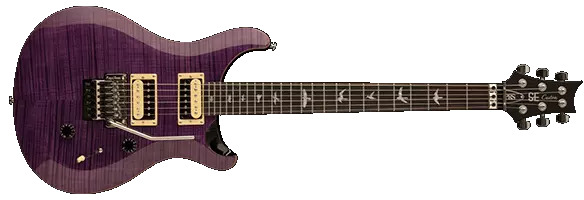 SE Custom 24 Floyd Rose Electric Guitar - Amethyst