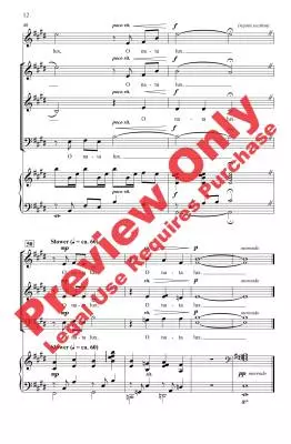 O Nata Lux - Johnson - Choral Octavo - SAB Accompanied