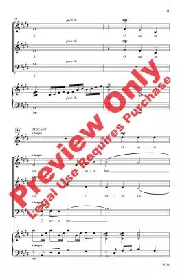 O Nata Lux - Johnson - Choral Octavo - SAB Accompanied