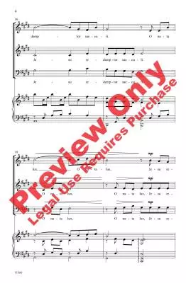 O Nata Lux - Johnson - Choral Octavo - SAB Accompanied