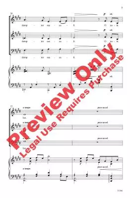 O Nata Lux - Johnson - Choral Octavo - SAB Accompanied