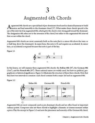 Essential Music Theory, Level 11 - Sarnecki - Book