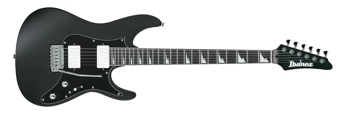 BER10 Bernth Signature Electric Guitar with Gigbag - Black