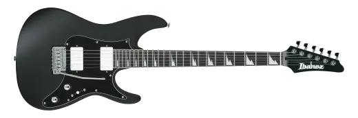 BER10 Bernth Signature Electric Guitar with Gigbag - Black