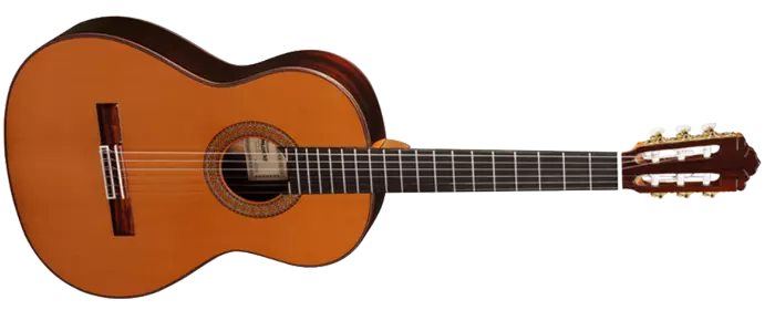 A-461 Classical Cedar/Rosewood Guitar w/ Case