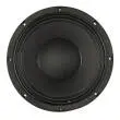 Speaker 10\'\' PowerHouse 300 Watt 8 0hm
