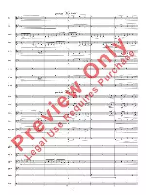 Song for the Manatees - Hoefle - Concert Band - Gr. 2.5