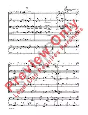 Silent Nightfall - Neidhold - String Orchestra - Gr. 2.5