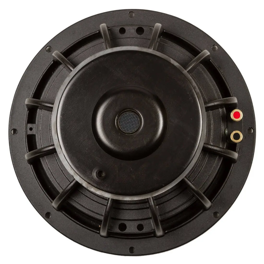 PowerHouse 10\'\' Speaker - 250 Watt 8 Ohm
