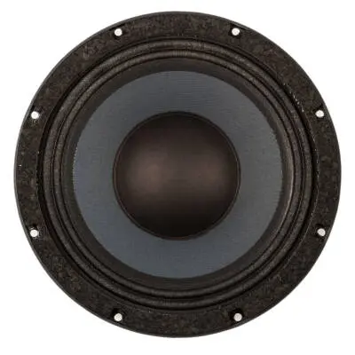 PowerHouse 10\'\' Speaker - 250 Watt 8 Ohm