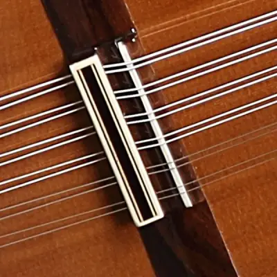 Lute 4P with Gigbag