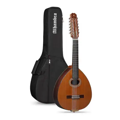 Lute 4P with Gigbag