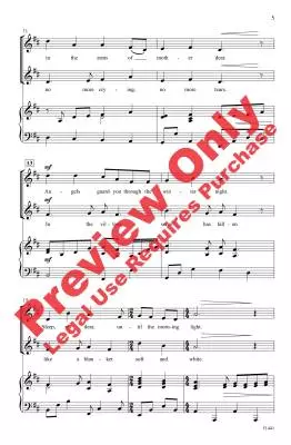 Peaceful Winter Night (A Partner Song with \'\'Suo Gan\'\') - Donnelly/Strid - Choral Octavo - 2-Pt Accompanied