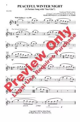 Peaceful Winter Night (A Partner Song with \'\'Suo Gan\'\') - Donnelly/Strid - Choral Octavo - 2-Pt Accompanied