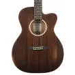 000CJR-10E StreetMaster Acoustic/Electric Guitar with Gigbag