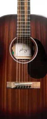 000-Jr E Jeff Tweedy Signature Acoustic/Electric Guitar with Softshell Case