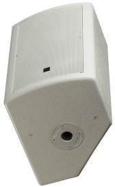 Coliseum Series 8 Inch Installation Speaker - Black