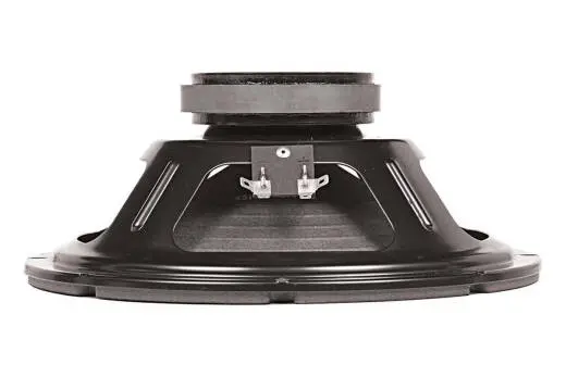 George Alessandro 10\'\' Speaker, 20 Watt 8 Ohm
