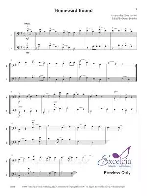 Adaptable Duets: Sea Shanties - Arcari - Bass - Book
