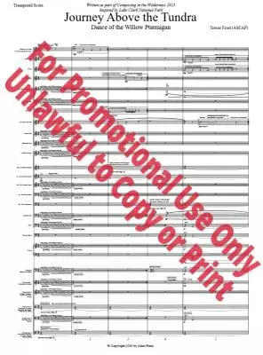 Journey Above the Tundra: Dance of the Willow Ptarmigan  - Frost - Concert Band - Gr. 4