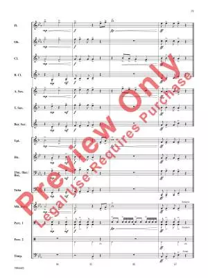 Destiny Awaits - Kamuf - Concert Band - Gr. 1