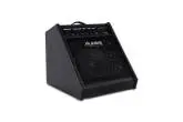 Nitro Amp Pro Compact Floor Monitor