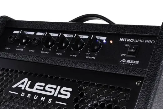 Nitro Amp Pro Compact Floor Monitor