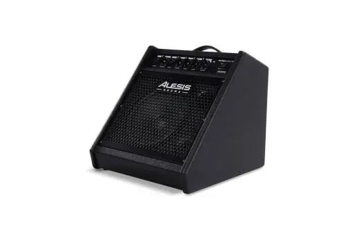 Nitro Amp Pro Compact Floor Monitor