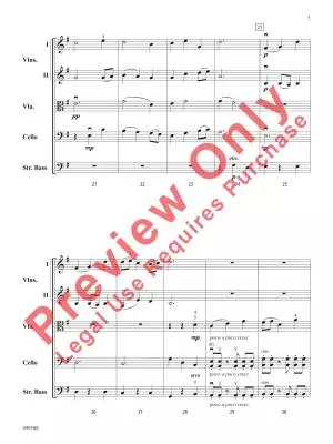 Skylight - Tippette - String Orchestra - Gr. 2