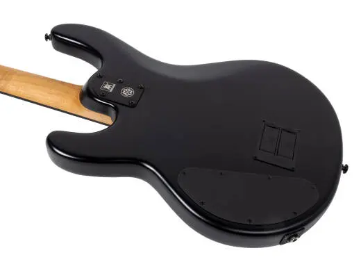 DarkRay Bass - Stealth Black