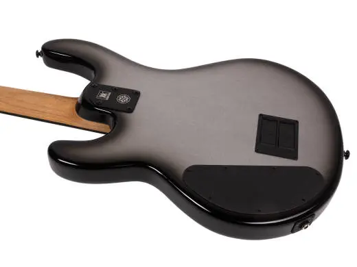 DarkRay Bass - Silverburst