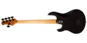 DarkRay 5-String Bass with Case - Stealth Black