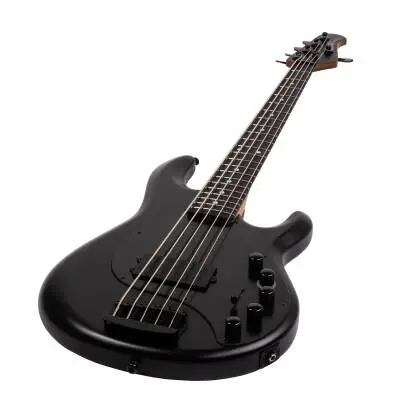 DarkRay 5-String Bass with Case - Stealth Black