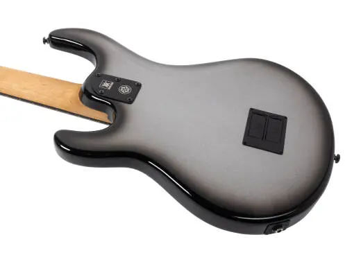 DarkRay 5-String Bass with Case - Silverburst
