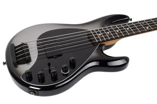 DarkRay 5-String Bass with Case - Silverburst