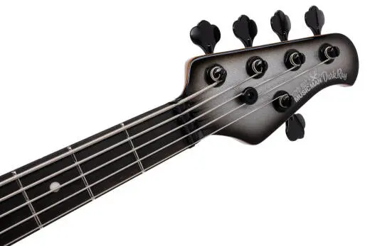 DarkRay 5-String Bass with Case - Silverburst