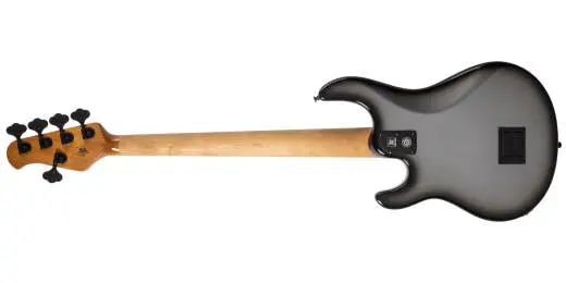 DarkRay 5-String Bass with Case - Silverburst