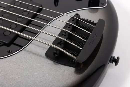 DarkRay 5-String Bass with Case - Silverburst