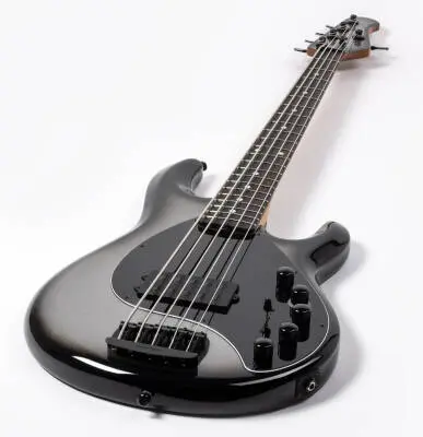 DarkRay 5-String Bass with Case - Silverburst