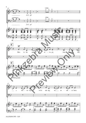 Kaleidoscope - Pinkzebra - Choral Octavo - SAB Accompanied