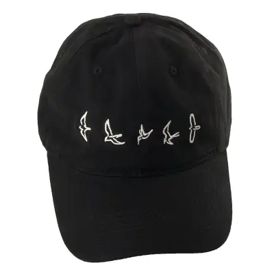 Low-profile Birds Logo Baseball Hat - Black