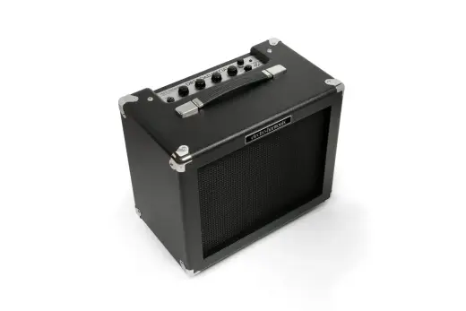 Dirt Road Special Guitar Amplifier
