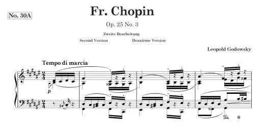 Studies on Chopin\'s Etudes (Incomplete) No. 30A and No. 50 - Godowsky - Piano - Book