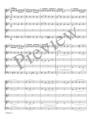 Turmoil - Meeboer/Marlatt - Woodwind Quintet (Flexible)