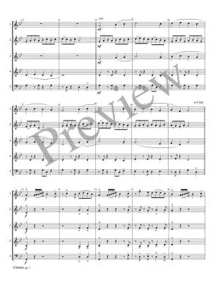 Turmoil - Meeboer/Marlatt - Woodwind Quintet (Flexible)