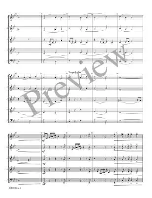 Turmoil - Meeboer/Marlatt - Woodwind Quintet (Flexible)