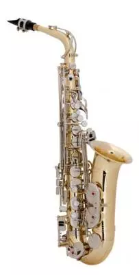 AS500 Alto Sax Outfit