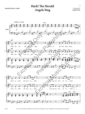 Holiday Duets: 10 Holiday Songs - Ray/Drennan - Medium High/Medium Low - Book/Audio Online