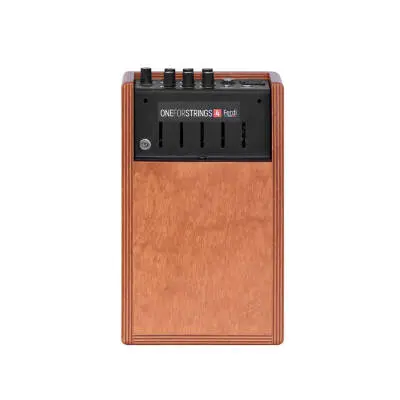 ONEFORSTRINGS 4Ferdi Acoustic Guitar Amplifier - Wood