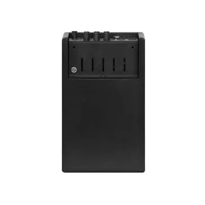 ONEFORSTRINGS 4Ferdi Acoustic Guitar Amplifier - Black